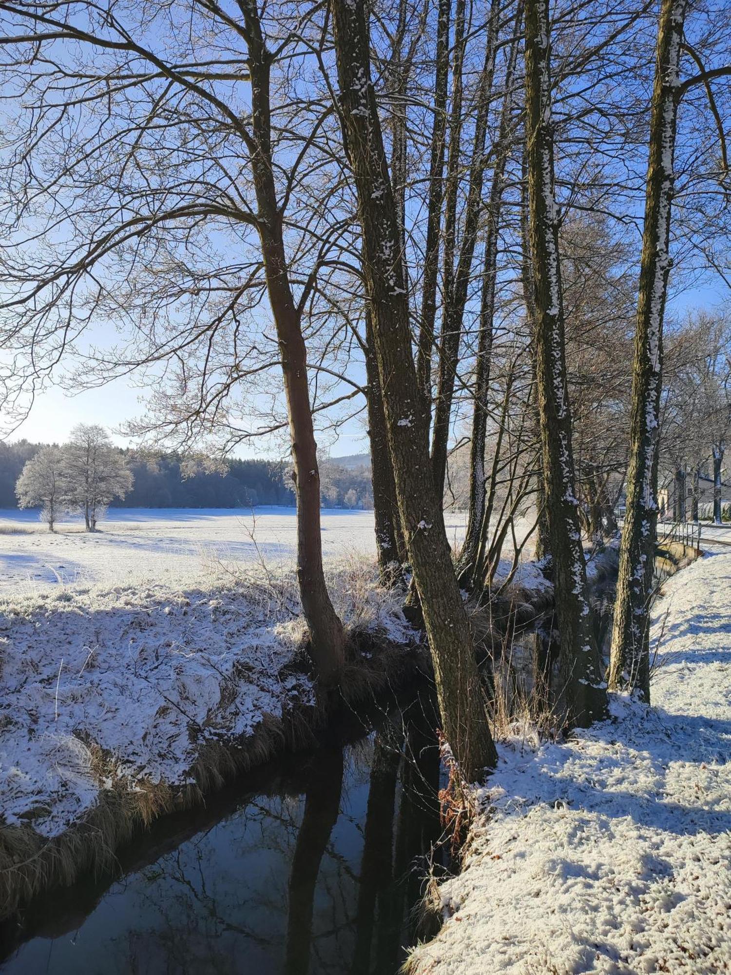 Ferienhaus "De Sieme" Olbernhau Esterno foto