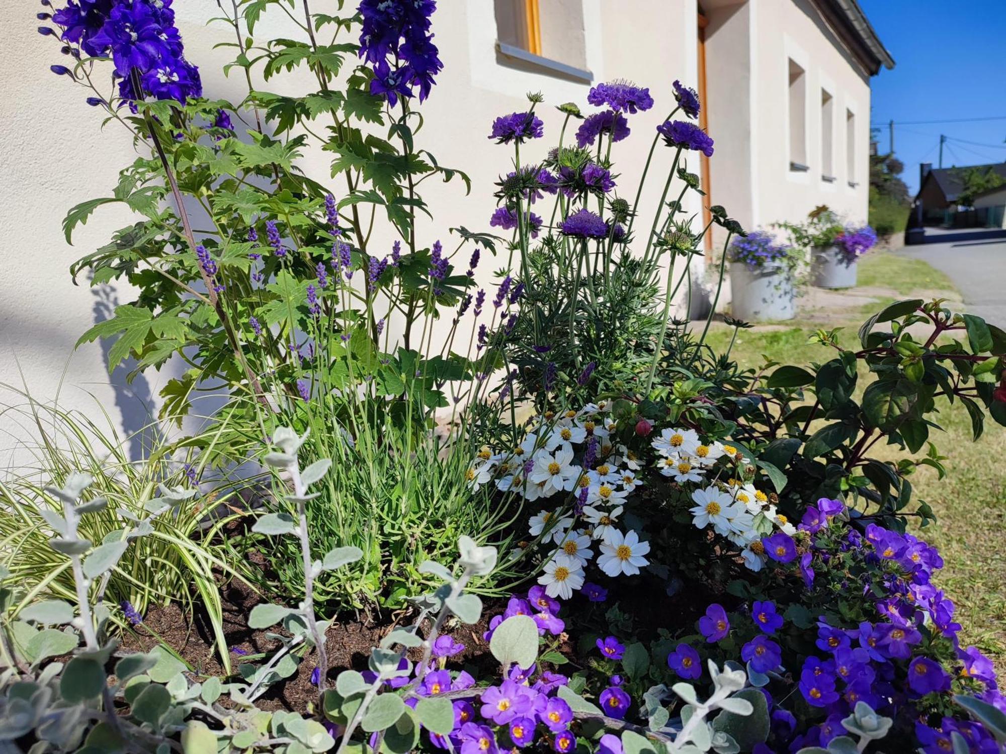 Ferienhaus "De Sieme" Olbernhau Esterno foto